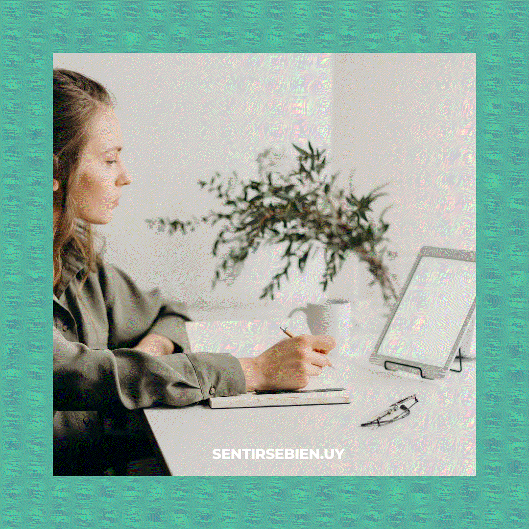 Odoo - Prueba 1 de tres columnas