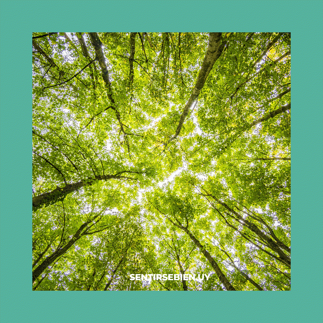 Odoo - Prueba 1 de tres columnas