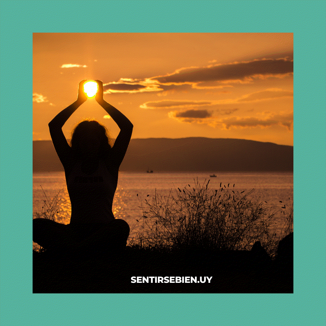 Odoo - Prueba 1 de tres columnas