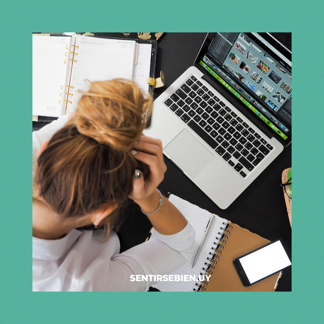 Odoo - Prueba 1 de tres columnas