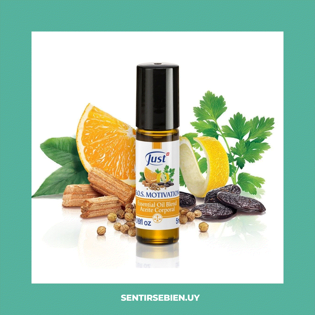 Odoo - Prueba 1 de tres columnas